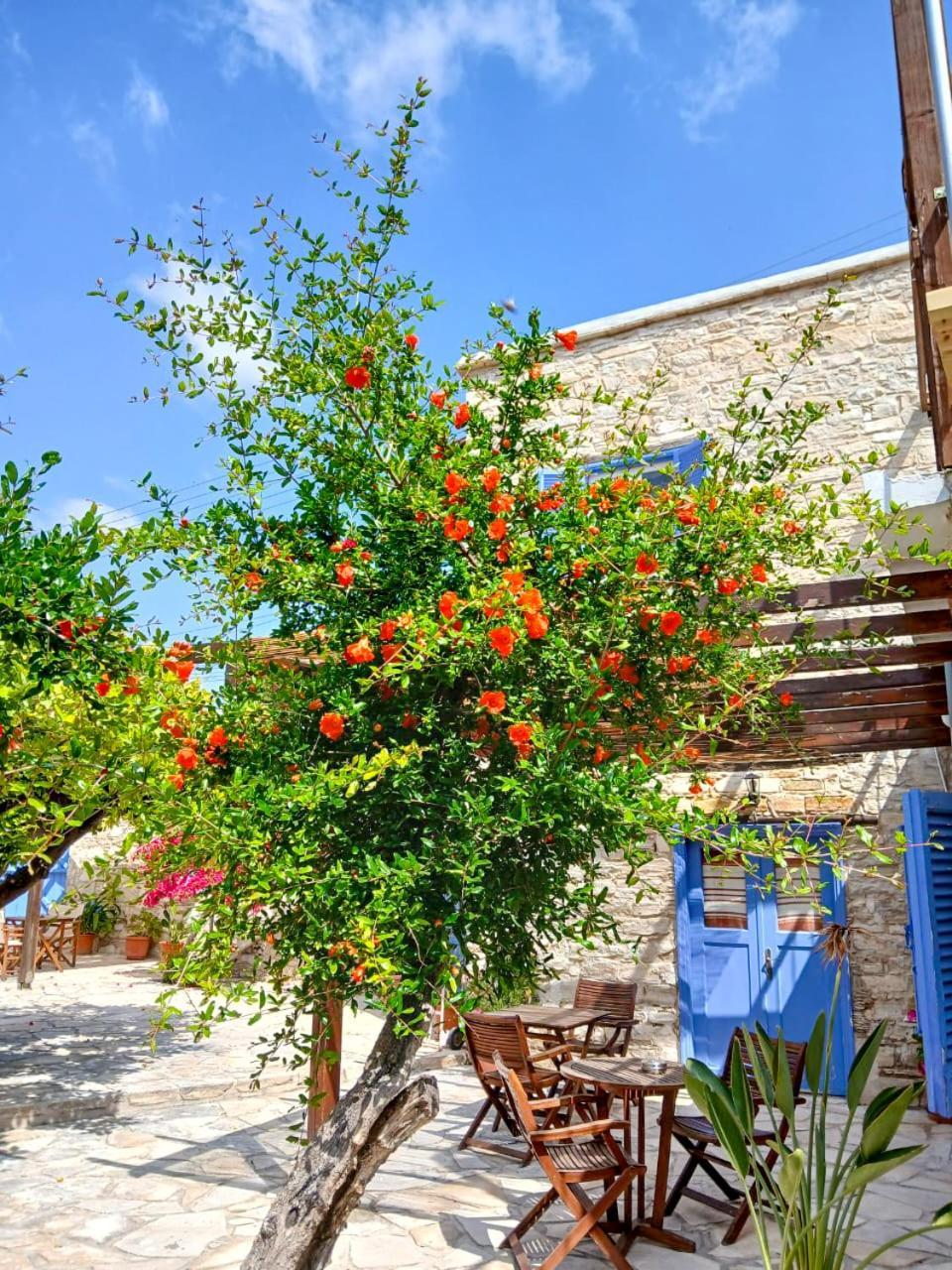 شقة Athena'S Pool Oasis سكارينو المظهر الخارجي الصورة