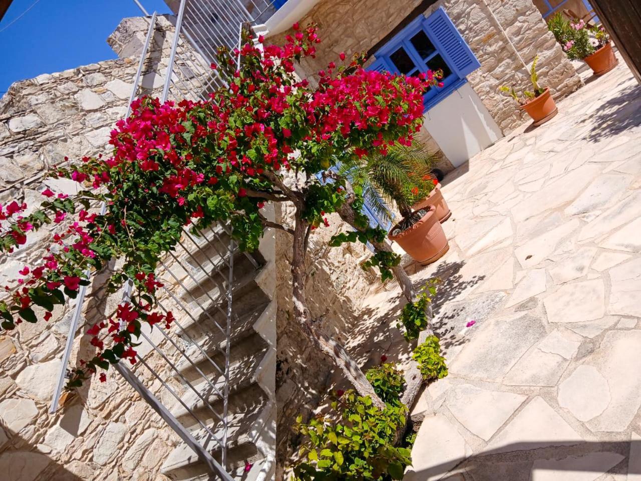 شقة Athena'S Pool Oasis سكارينو المظهر الخارجي الصورة
